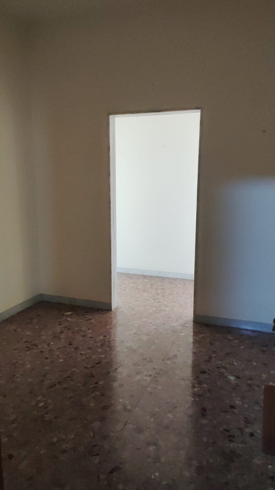 ingresso